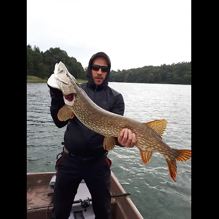 Neu! Schoener Am Zenssee بيت للعطل لوشن