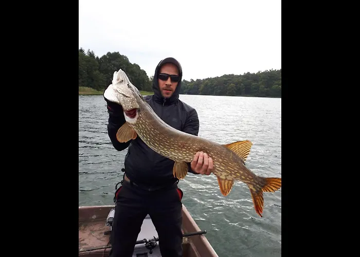 Neu! Schoener Am Zenssee Casa de Férias Lychen