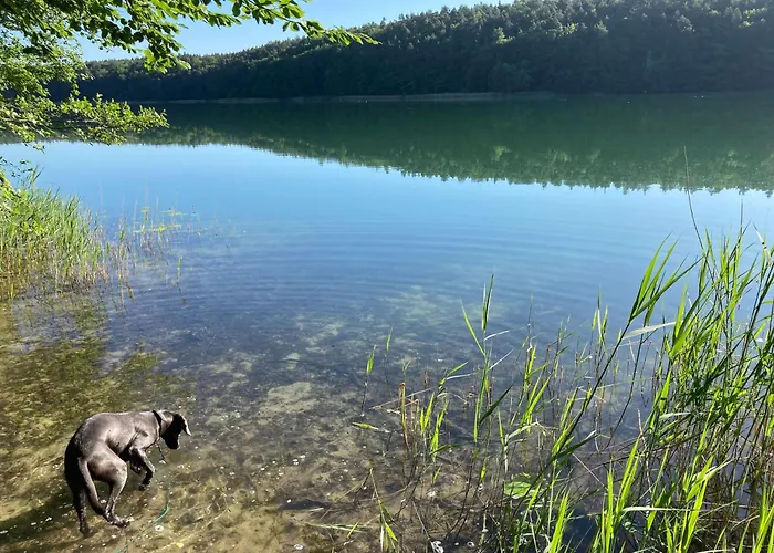 Casa de Férias Neu! Schoener Am Zenssee *